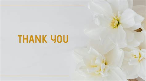 Image result for Python Thank You Slide