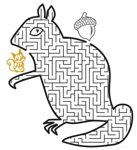 Image result for Squirrel Maze
