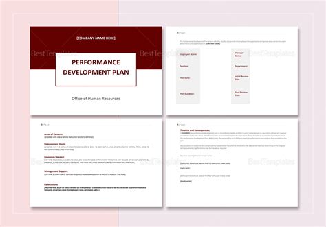 Image result for Performance Development Plan Support Required