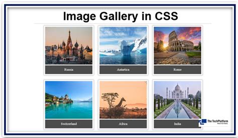 Image result for CSS Gallery Example