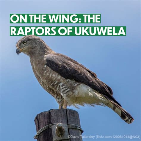 Toradh íomhá ar Ukuwela Ukuwela Sir