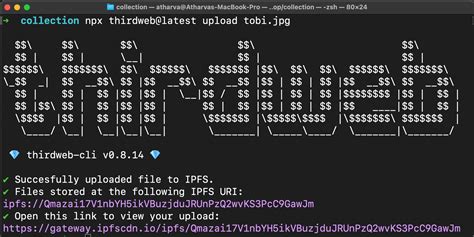 Image result for Valid File Platform Pfps