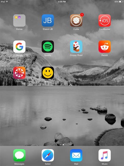 Image result for iOS 3 Home Screen