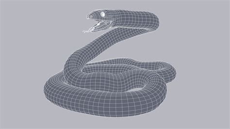 Afbeeldingsresultaten voor Python Code for 3D Animation