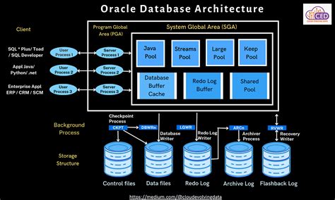 Toradh íomhá ar Client Server with Oracle Database Architecture