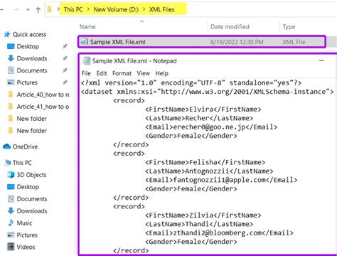 Toradh íomhá ar How to Use R4i XML File