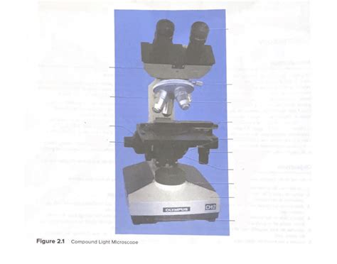Image result for Printable Compund Light Microscope Test