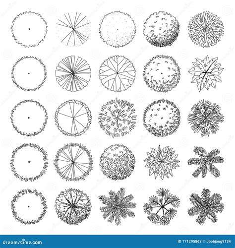 Image result for TreePlan Vector