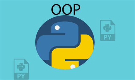 Image result for Visual of Oo in Python