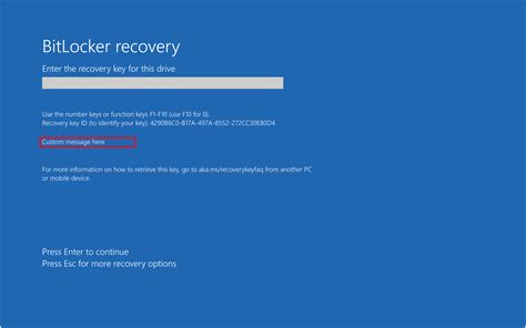 Toradh íomhá ar BitLocker Screen Shot