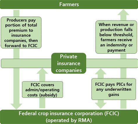 Insurance Program Structure Chart に対する画像結果