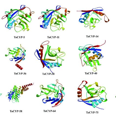 Image result for Protein Structure Modeling