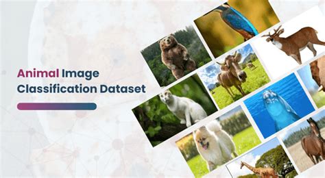 Image result for Pets Classification Dataset