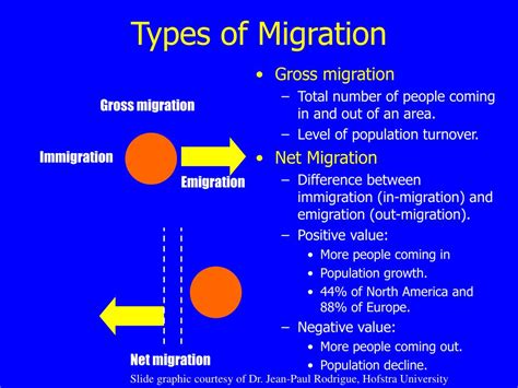Image result for Types of Migration Patterns