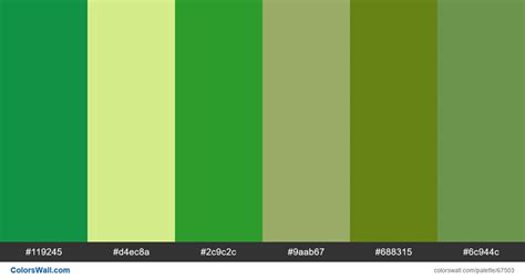 Image result for Colour Code Texture