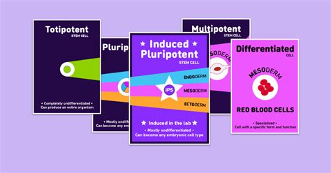 Image result for Cell Card Game