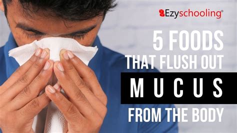 Toradh íomhá ar Mucus Body