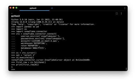 Python Query Snowflake に対する画像結果