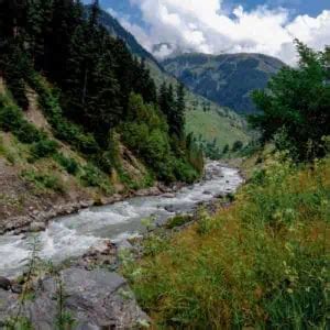 Image result for Stream Type