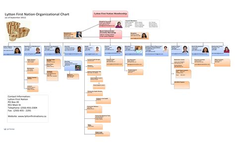 Image result for organization chart code examples
