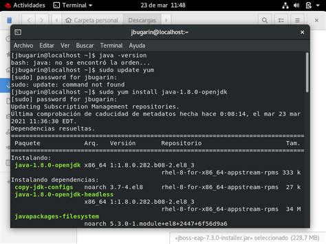 Image result for Java Console OpenJDK Red Hat