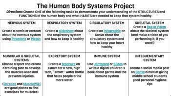 Image result for Human Body Systems Project Example