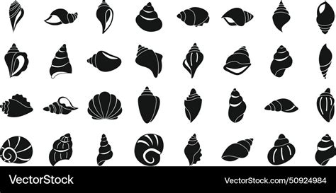 Image result for Queen Conch Shell Vector