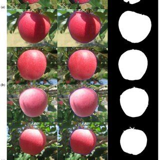Apple Segmented Control के लिए छवि परिणाम