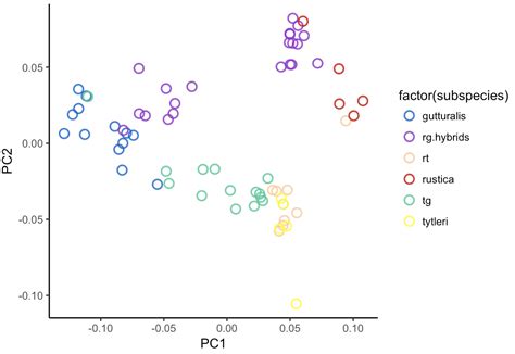 Image result for Different Correlation Plot Ggplot2