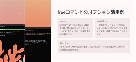 Linux Check Free Memory に対する画像結果