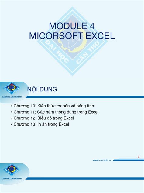 Image result for Excel Module 1 Looks Like