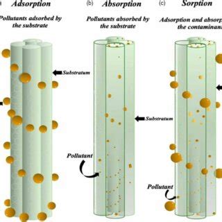 Image result for Adsorption Diagram in Eor