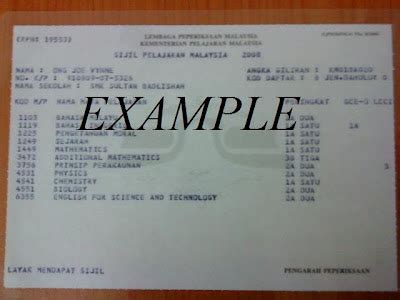 Toradh íomhá ar What Is SPM Transcript