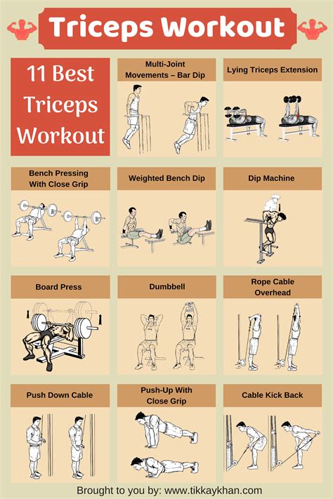 Image result for Tricep Muscle Exercises