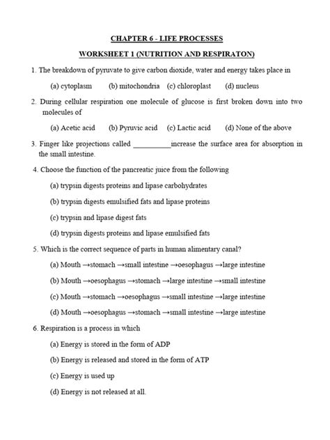 Life Processes Worksheet.pdf に対する画像結果