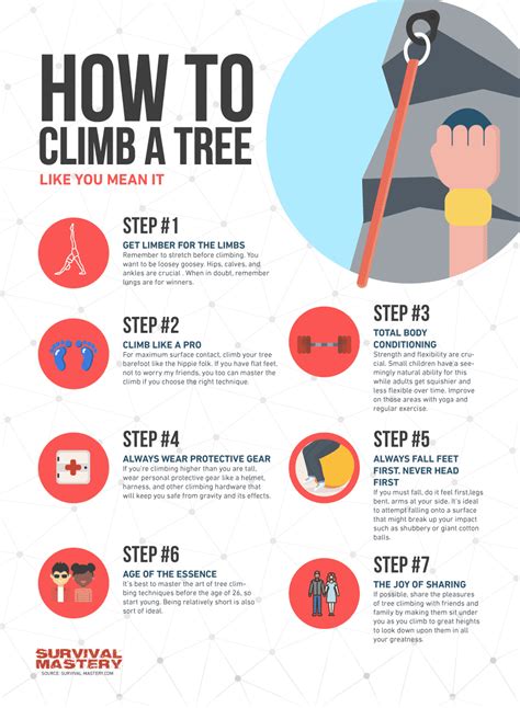 Image result for Easiest Tree Climbing Method