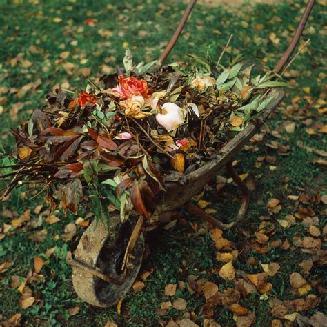 Spring File Clean Up に対する画像結果