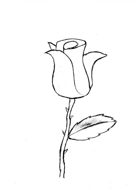 Image result for Rose Drawing Tutorial