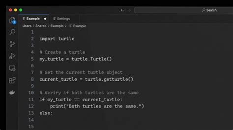 Image result for Turtle in Python
