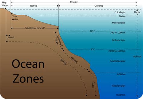 Water Column Explained に対する画像結果