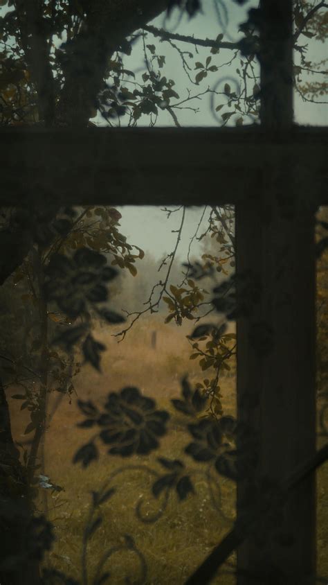 Image result for Ugly View Outside Window