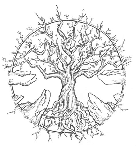 Image result for Life Tree Drawing