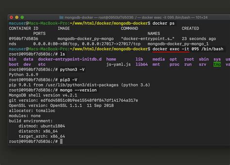 Image result for Python Terminal Command for Exec