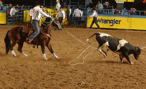 Image result for Rodeo Roping