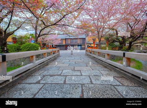 Image result for Spring Japan Bridge Kyoto