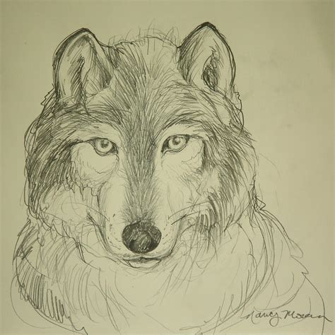 Afbeeldingsresultaten voor Timber Wolf Drawing