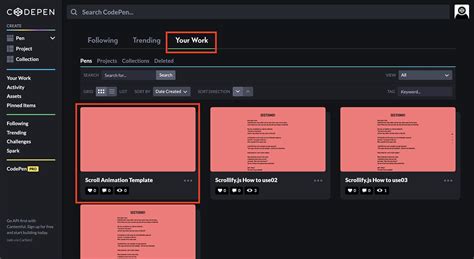 Kay Redius in HTML Code Design CodePen に対する画像結果