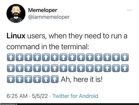 Image result for Linux Find Command Meme