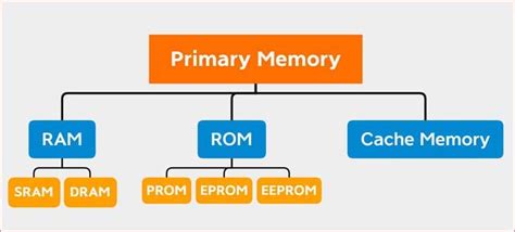 Afbeeldingsresultaten voor Primary Memory Examples