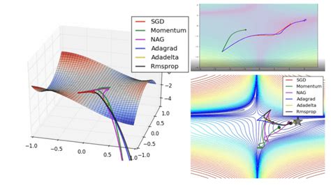 Optimation Algorithm に対する画像結果